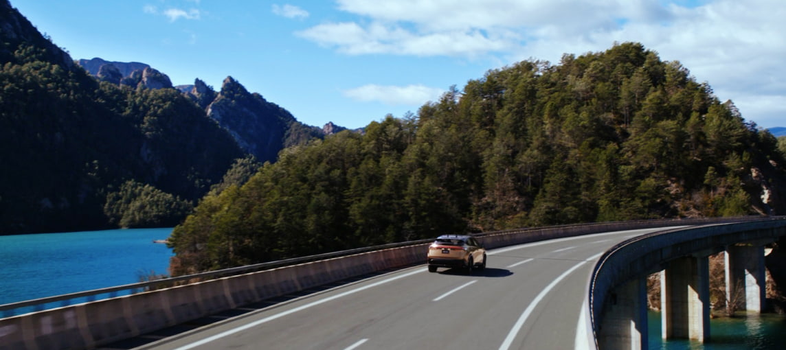 Environmental Foundation