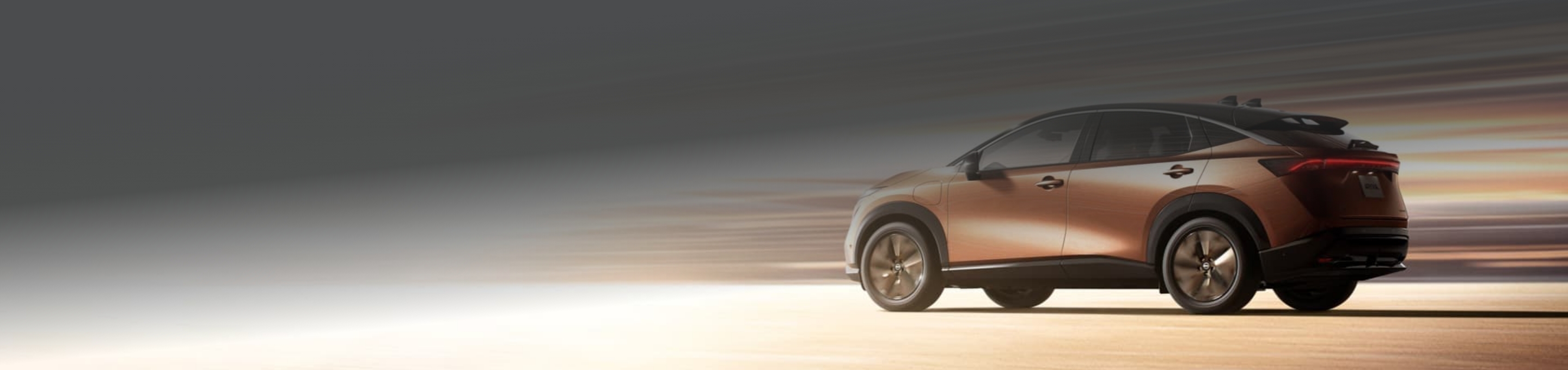 Vision & Business Plan