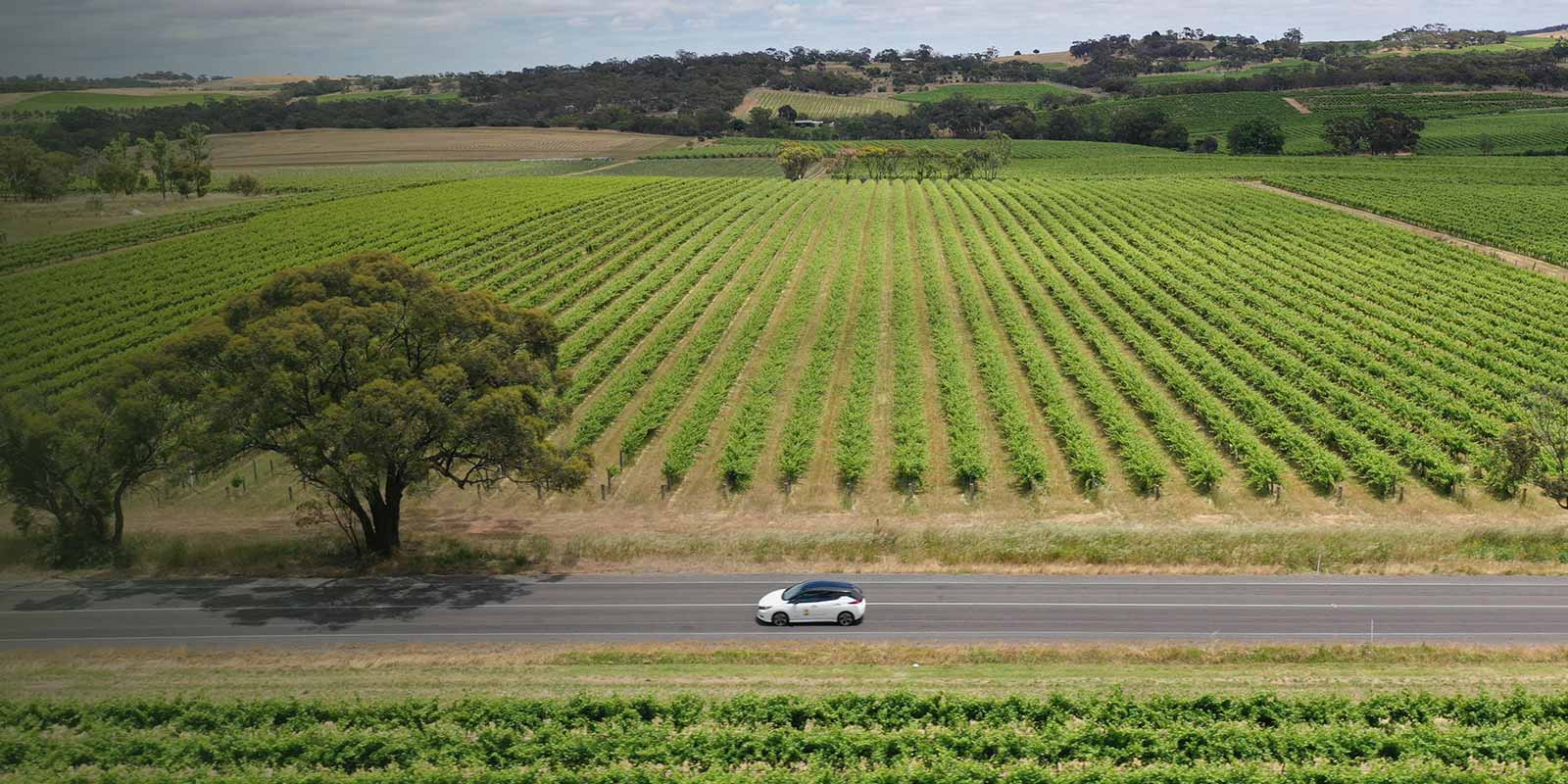 Sustainable Solutions